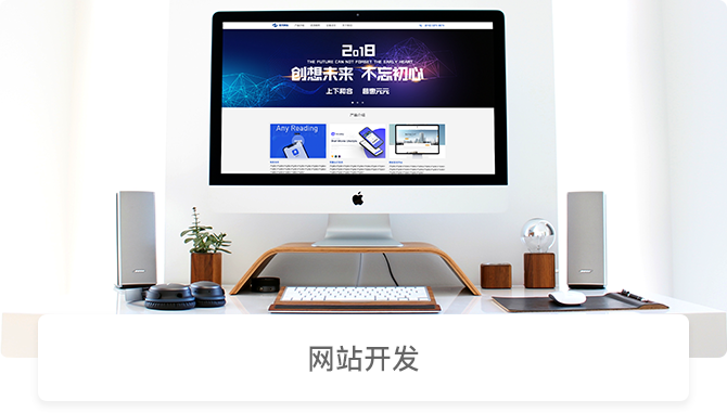 网站开发