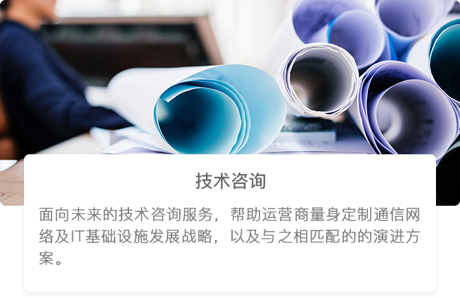 技术咨询